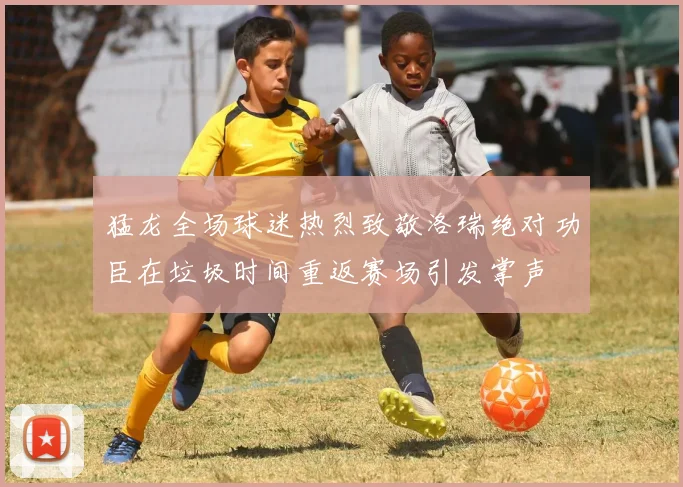 猛龙全场球迷热烈致敬洛瑞绝对功臣在垃圾时间重返赛场引发掌声