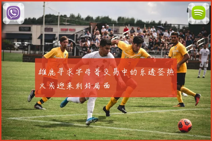 雄鹿寻求字母哥交易中的乐透签热火或迎来利好局面